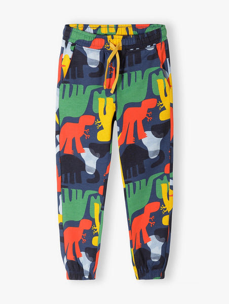 Regular fit boys' cotton sweatpants with a dinosaur print