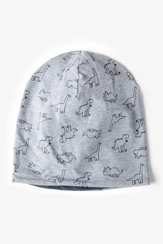 Boy's hat with dinosaurs - grey