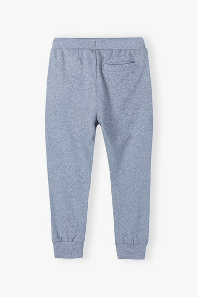 Sweatpants with a contrasting panel - gray