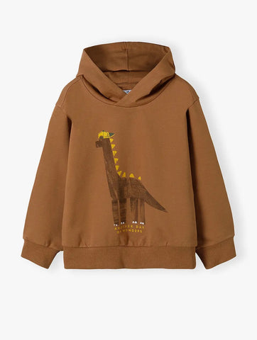 Boys' brown cotton sweatshirt