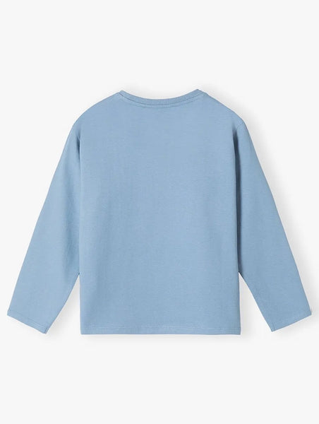 Boys' cotton blouse with cars