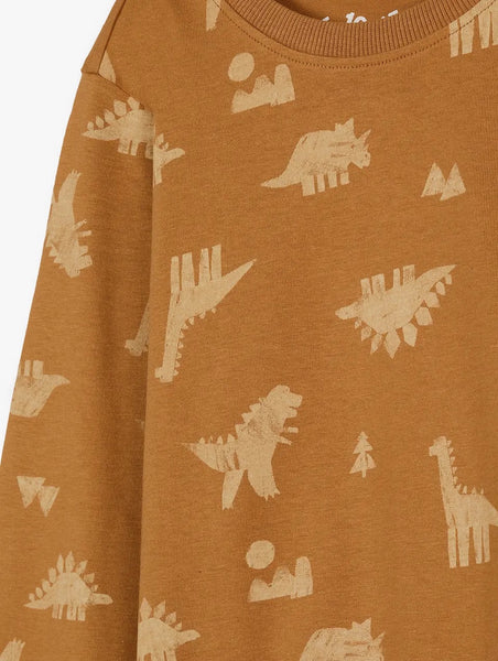 Boys' cotton blouse with dinosaurs