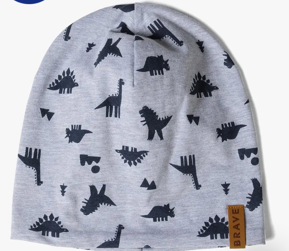 Reversible boy's hat with dinosaurs - gray